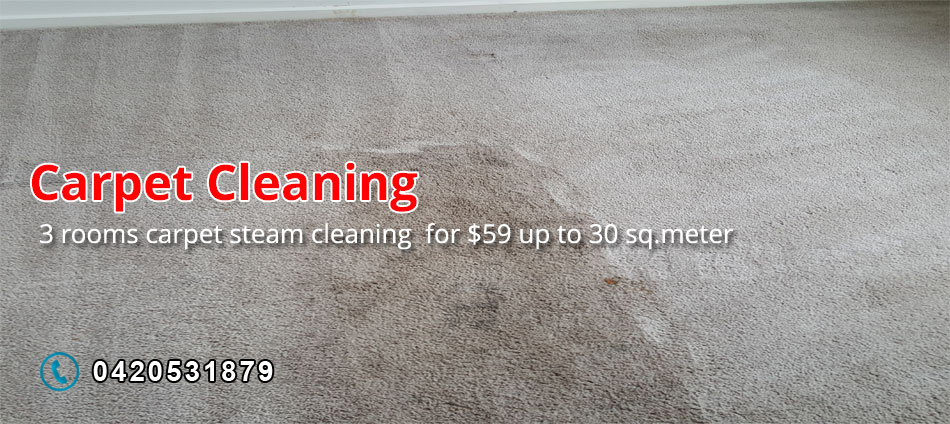 Carpet Steam Cleaners Sunbury